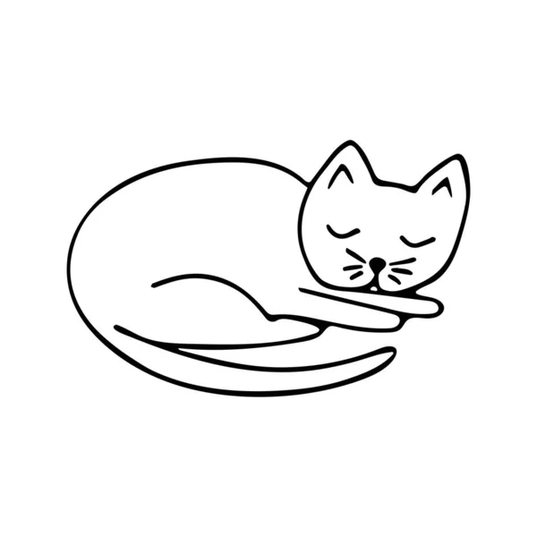 Doodle Gato Dormido Ilustración Blanco Negro Sobre Fondo Blanco Lindo — Vector de stock