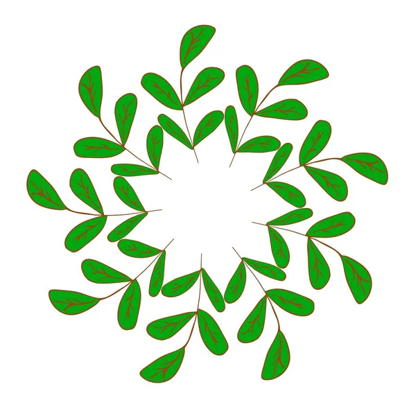绿色小枝的框架 用于白色背景矢量插图上的亮点 夏天或春天的叶子 — 图库矢量图片