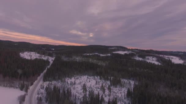 Floresta Aérea Inverno Noruega Neve Árvores Inverno Bosques Paisagem Florestal — Vídeo de Stock