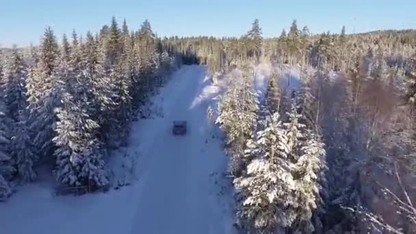 Jazda Samochodem Śnieżnej Drodze Przez Mroźny Zimowy Las Świerkowy Norwegia — Wideo stockowe