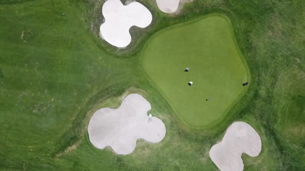 Scenisk Antenn Visa Golfbana Ovanifrån — Stockvideo