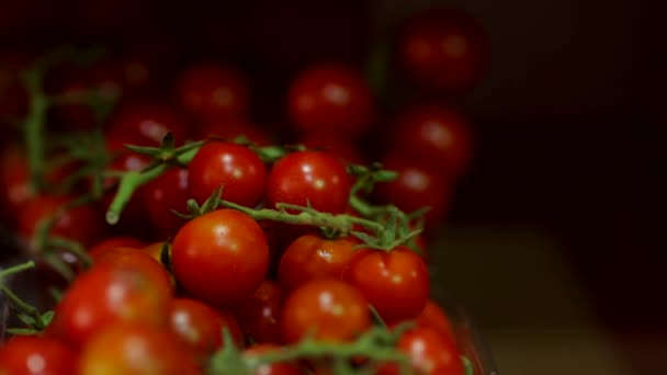 Die Weibliche Hand Nimmt Die Kirschtomaten — Stockvideo