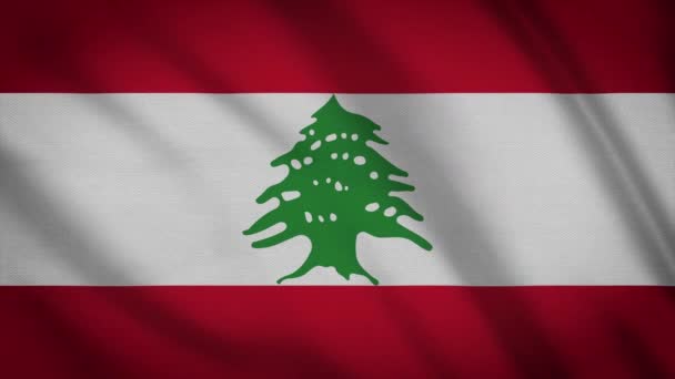 Lübnan Bayrağı Sallayarak Animasyon Tam Ekran Ülkenin Sembolü — Stok video
