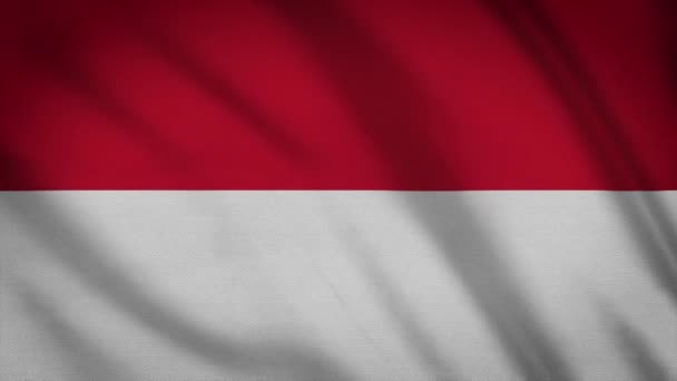 Indonesien Flagge Schwenkend Vollbild Symbol Des Landes — Stockvideo