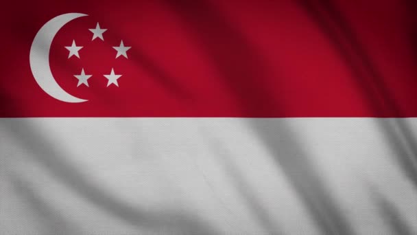 Large Flag Singapore Fullscreen Background Fluttering Wind Wave Patterns —  Stock Video © shkyo30 #339006544