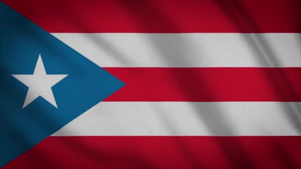 Puerto Rico National Flag Seamless Loop Animation — Stock Video