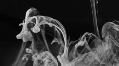 Liquid Paint in Slow Motion, soyut formlar ve organik şekillerle yakın plan..