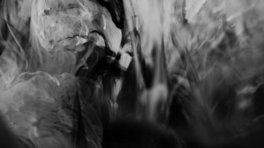 Liquid Paint in Slow Motion, soyut formlar ve organik şekillerle yakın plan..