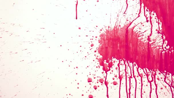 Red Paint Splashing White Background — Stock Video