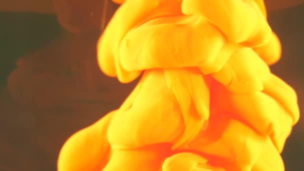 Abstract Extrime Macro Composition Yellow Liquids — Stock Video