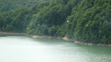 Nehir manzarası ve Yeşil Orman Dağı 