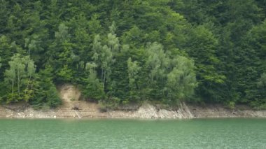 Nehir manzarası ve Yeşil Orman Dağı 