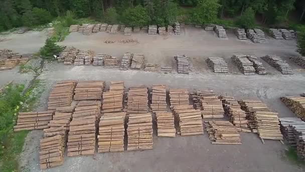 Panning Shot Pile Wood Logs Αποθήκευση — Αρχείο Βίντεο