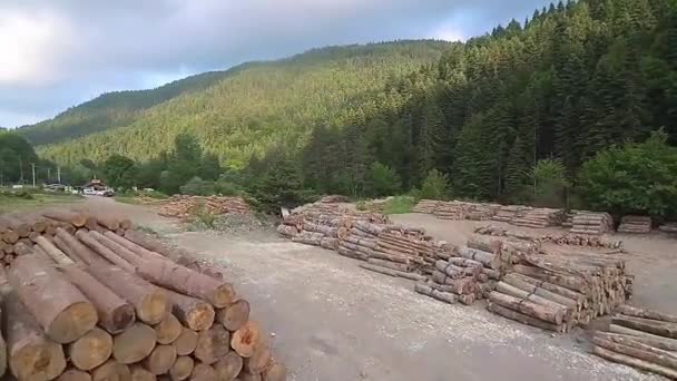 나무로 통나무의 — 비디오