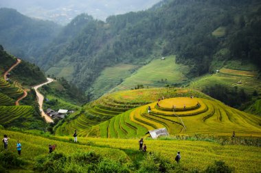 İnsanlar alanları nakil için hazırlayın.