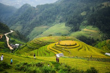 İnsanlar alanları nakil için hazırlayın.