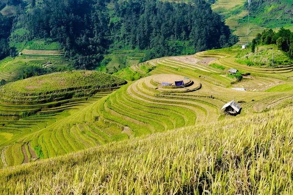 Bela paisagem de terraço de arroz — Fotografia de Stock