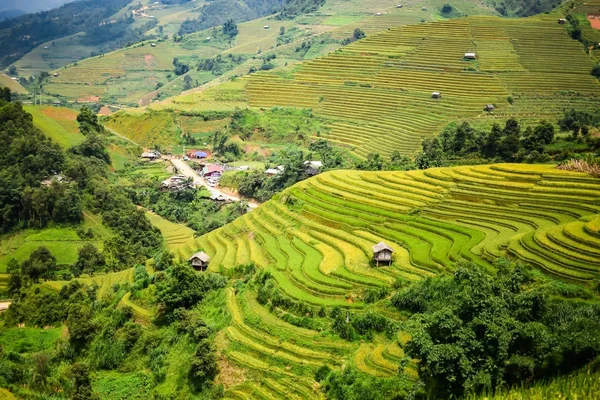 Rýžová pole na terasách — Stock fotografie