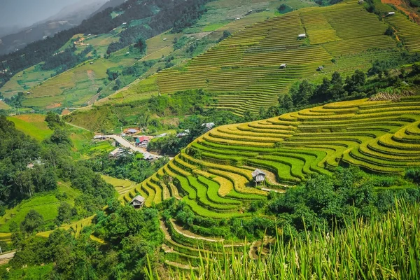 Terraço arroz em mu cang chai — Fotografia de Stock