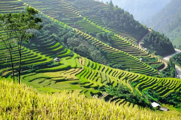 Bela paisagem de mu cang chai — Fotografia de Stock