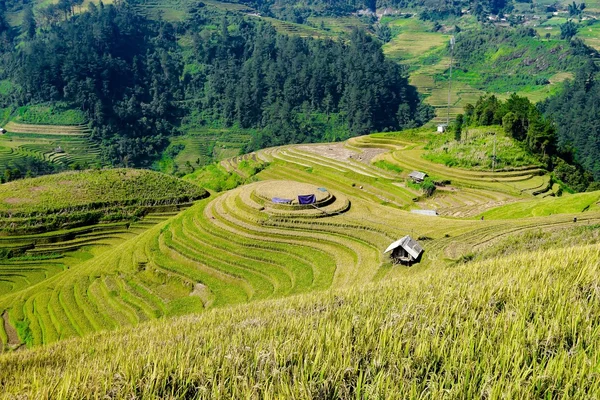 Landskap av mu cang chai — Stockfoto