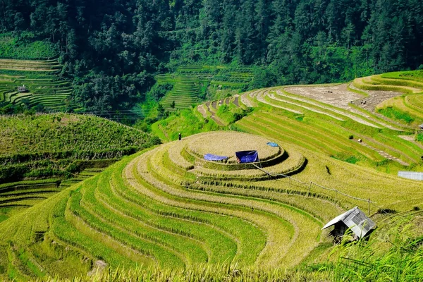 Bela paisagem de mu cang chai — Fotografia de Stock