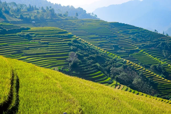 Bela aldeia no terraço de arroz Fotografias De Stock Royalty-Free