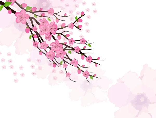 Китайський Новий рік картку з Слива цвітіння — стоковий вектор