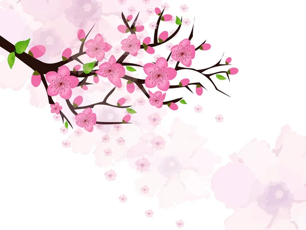 Čínský Nový rok karta s kvetoucí švestka — Stockový vektor