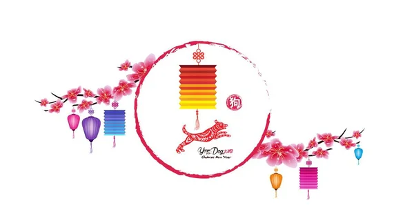 Sakura kwiatów tła. Kwiat wiśni i latarnia na białym tle. Chiński Nowy rok — Wektor stockowy