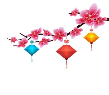 Sakura çiçek arka plan. Kiraz çiçeği ve fener beyaz arka plan izole. Çin yeni yılı