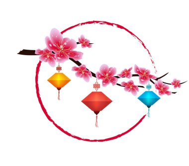 Sakura çiçek arka plan. İzole kiraz çiçeği beyaz arka plan. Çin yeni yılı 