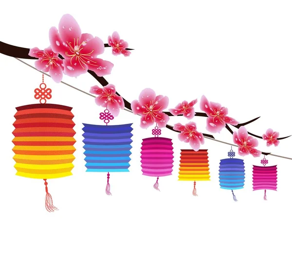 Сакура квітами фону. Цвітіння вишні і ліхтар ізольовані білим тлом. Китайський Новий рік — стоковий вектор