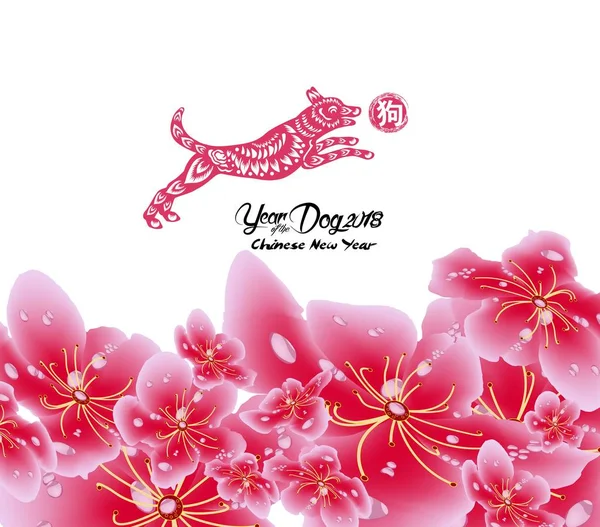 Sakura flowers background. Cherry blossom and lantern isolated white background. Chinese new year — Stock Vector