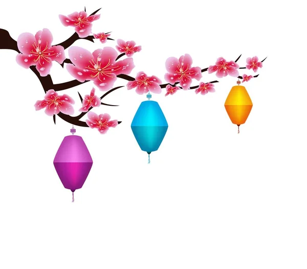 Sakura flowers background. Cherry blossom lantern isolated white background. Chinese new year — Stock Vector