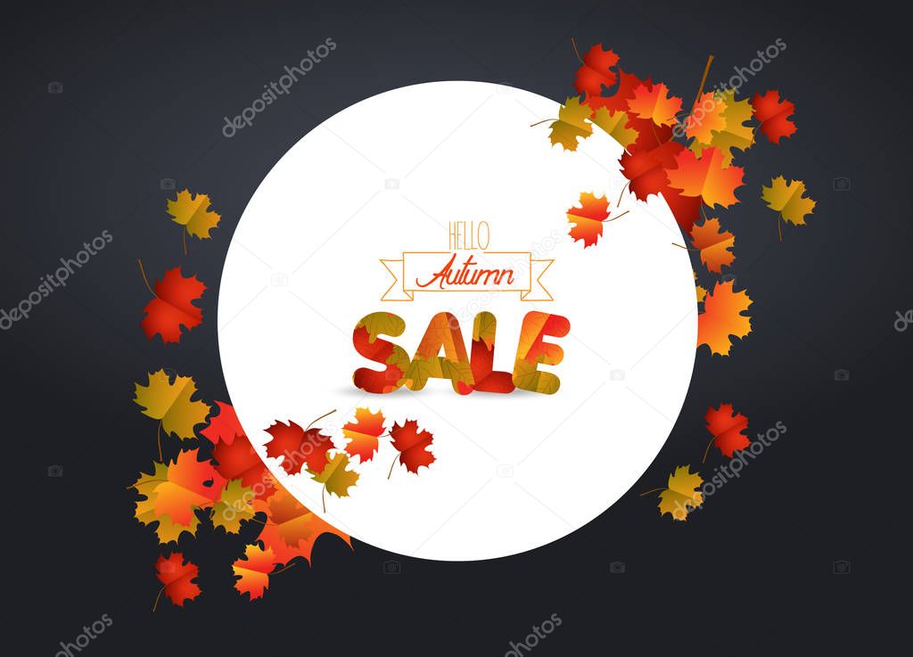 White blank with autumn maple leaves on background for design banner, ticket, leaflet, card, poster