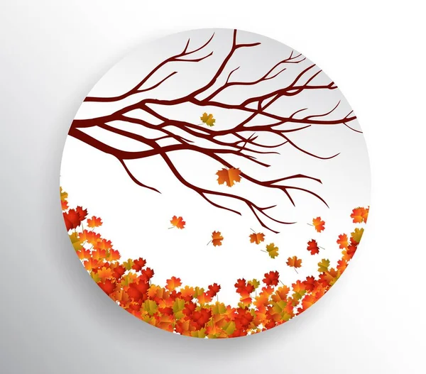 Fondo de otoño con hojas coloridas — Vector de stock