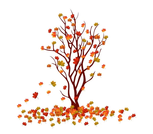Árbol de otoño. Hojas de otoño Fondo — Vector de stock