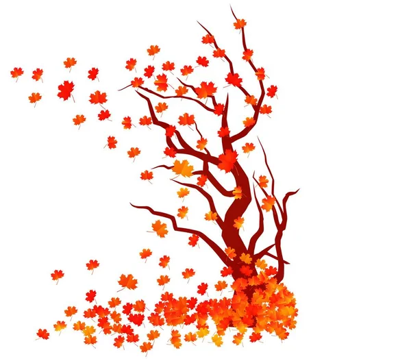 Sonbahar ağaç. Sonbahar yaprakları arka plan — Stok Vektör