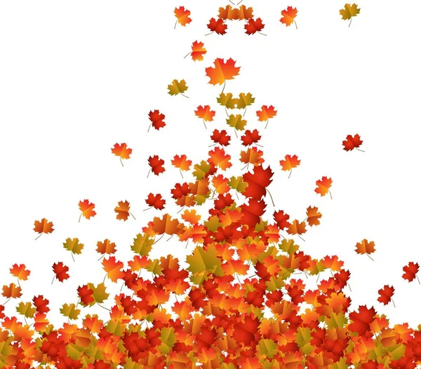 Hojas de otoño fondo — Vector de stock