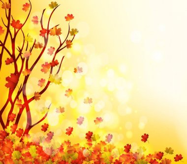 sonbahar yaprakları arka plan