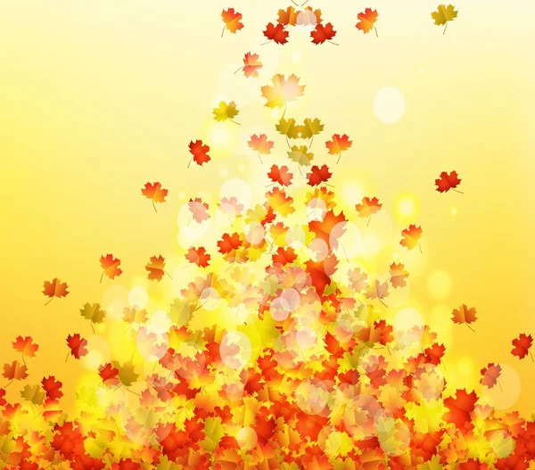 Autumn leaves background — Stock Vector