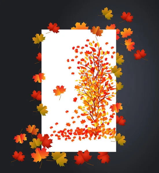 Herfst achtergrond met esdoorn bladeren kaart — Stockvector
