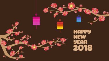 Çin yeni yıl fener dekorasyon çiçeği bahar festivali için 