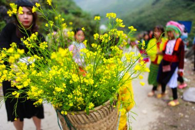 Dong Van, Ha Giang, Vietnam, 14 Kasım 2017: Hagiang, Vietnam kolza tohumu çiçek sepetleri tanımlanamayan etnik azınlık çocuklar. Hagiang Vietnam en kuzeydeki bir ildir