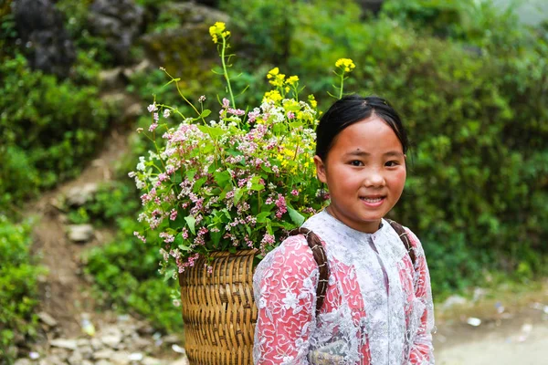 Dong van, ha giang, Vietnam, 14. November 2017: Unbekannte Kinder ethnischer Minderheiten mit Körben voller Rapsblüten in Hagiang, Vietnam. Hagiang ist eine nördlichste Provinz Vietnams — Stockfoto