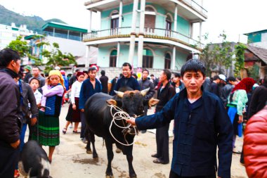 Dong Van, Ha Giang, Vietnam, 18 Kasım 2017: Hmong insanlar, Dağlık Dong Van, Ha Giang, ticaret, Açık piyasa sığır