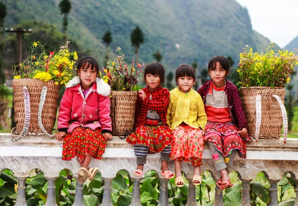 DONG VAN, HA GIANG, VIETNAM, 18 de novembro de 2017: Crianças de minorias étnicas não identificadas com cestas de flores de colza em Hagiang, Vietnã. Hagiang é uma província do Vietnã localizada na província de Hagiang. — Fotografia de Stock
