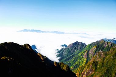 Fasipan dağın bulut ile