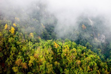 Sapa Vadisi şehir Sisteki, Vietnam
